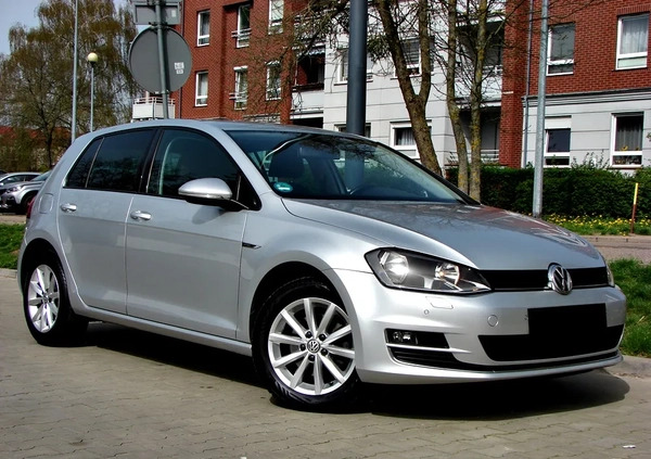 Volkswagen Golf cena 43900 przebieg: 213000, rok produkcji 2015 z Elbląg małe 631